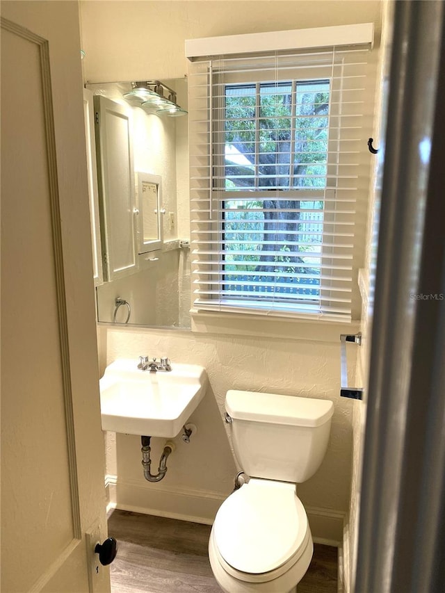 bathroom with hardwood / wood-style floors, sink, and toilet