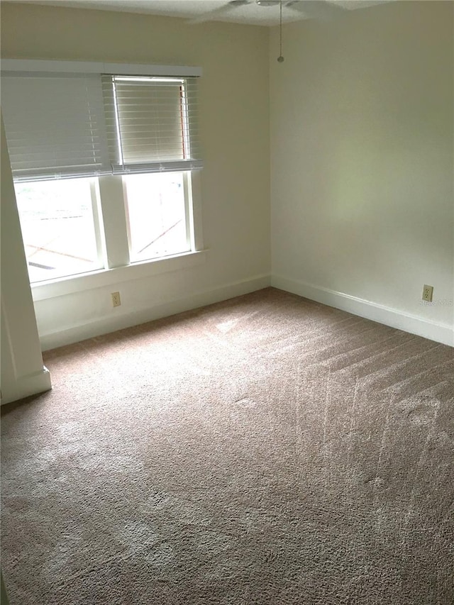 unfurnished room featuring carpet