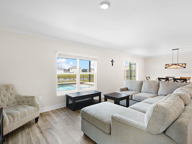 living room with a textured ceiling, ornamental molding, and hardwood / wood-style flooring