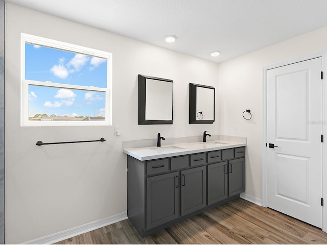 bathroom with hardwood / wood-style flooring and vanity