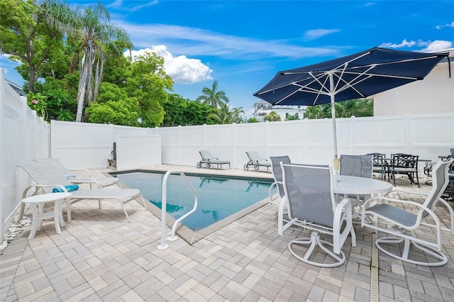 view of swimming pool with a patio