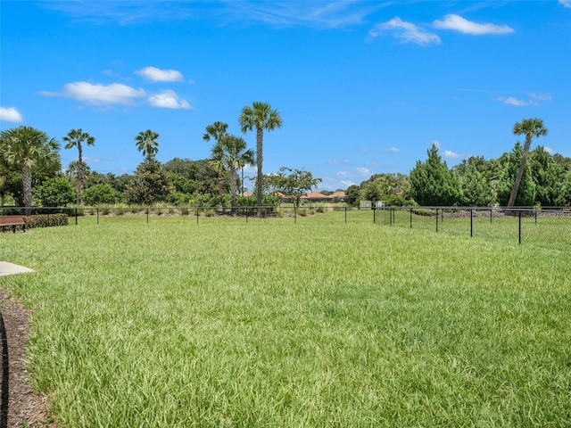 view of yard featuring a rural view