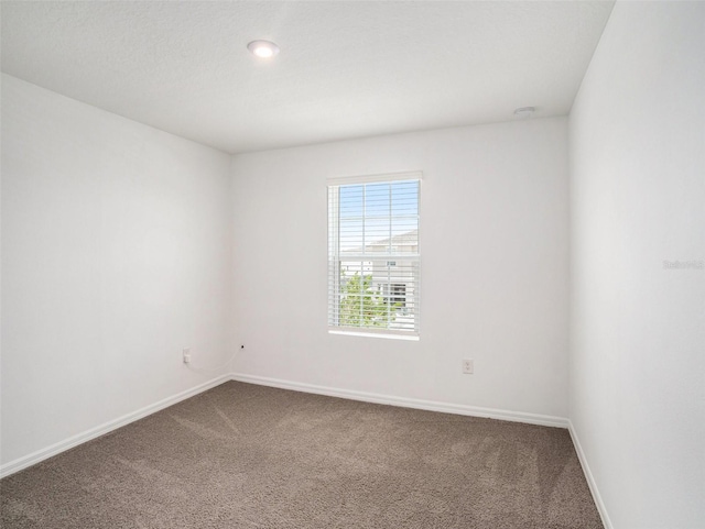 empty room featuring carpet floors