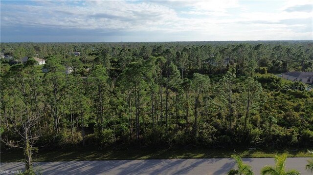 12157 Terkelsen Ave, Port Charlotte FL, 33981 land for sale