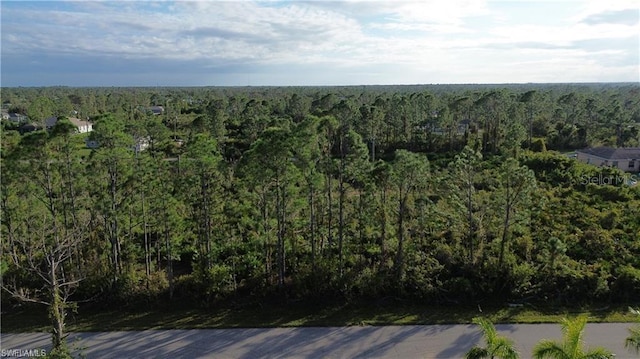 12157 Terkelsen Ave, Port Charlotte FL, 33981 land for sale