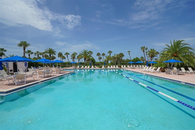 view of pool with a patio area