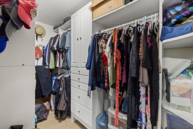 walk in closet featuring carpet floors