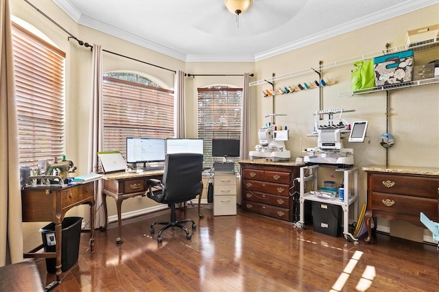 home office with ornamental molding, ceiling fan, and dark hardwood / wood-style floors