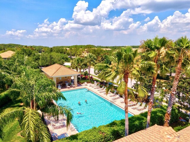 view of swimming pool featuring a patio area