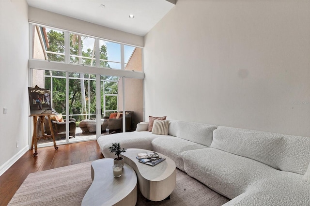 living room featuring dark wood-type flooring and a high ceiling