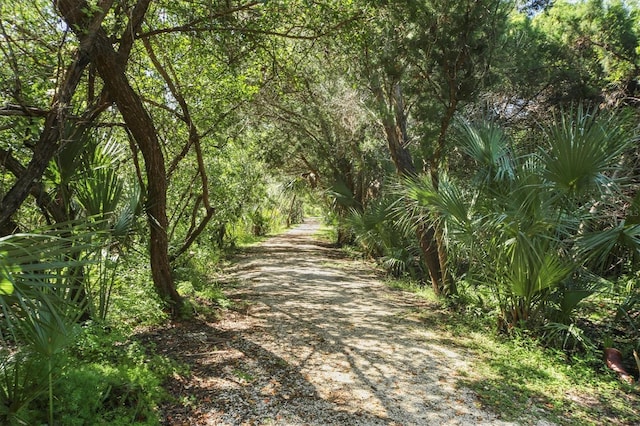 view of road