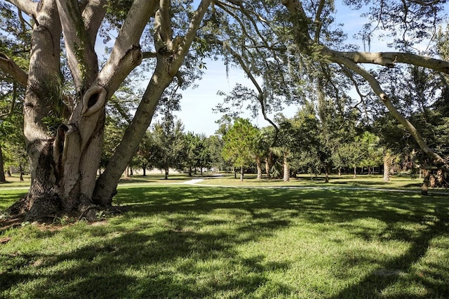 view of property's community with a yard