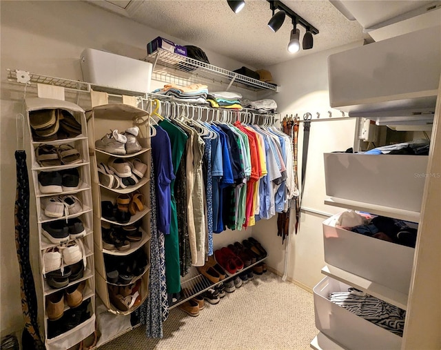 spacious closet with carpet