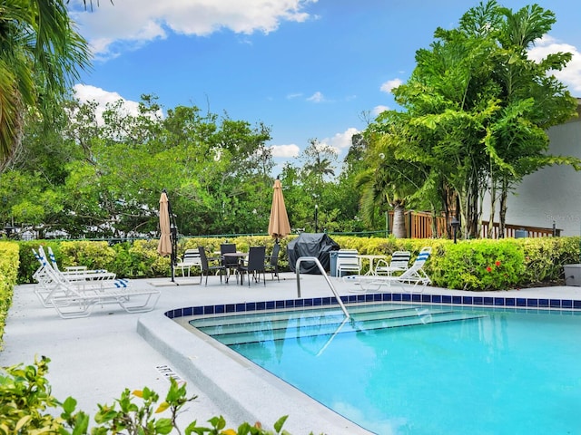 view of pool featuring a patio