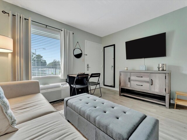 living room with light wood-type flooring