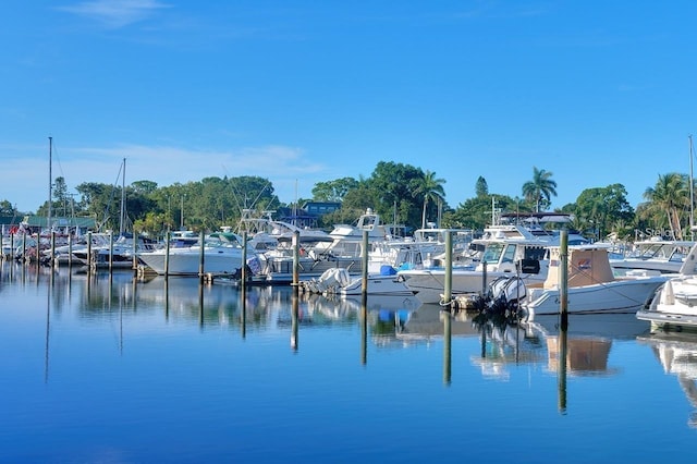 dock area with a water view