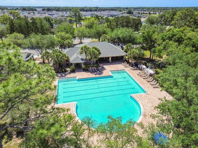 view of swimming pool featuring a patio