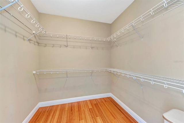 spacious closet featuring hardwood / wood-style flooring