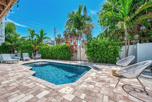 view of pool featuring a patio