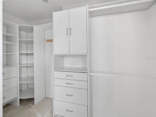 spacious closet with light colored carpet