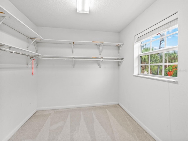 spacious closet with light carpet