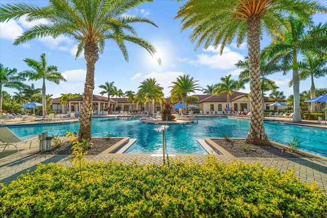 view of swimming pool with a patio area