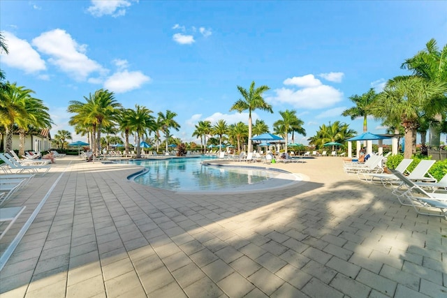 view of pool with a gazebo and a patio area