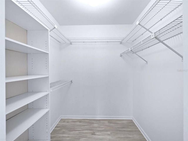 walk in closet featuring hardwood / wood-style flooring