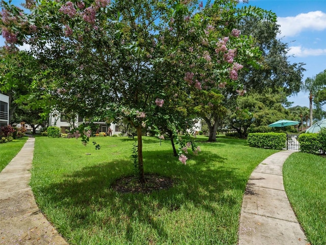 view of property's community featuring a lawn