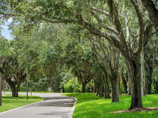 surrounding community featuring a yard