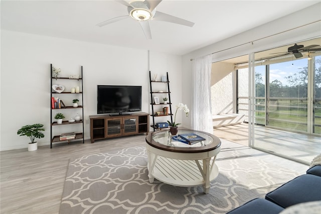 living room with ceiling fan and wood-type flooring