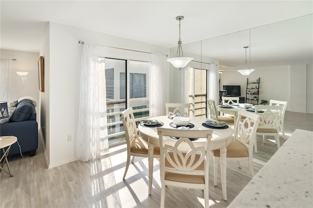 dining space with light hardwood / wood-style flooring