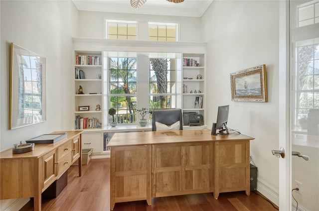 office area featuring hardwood / wood-style flooring