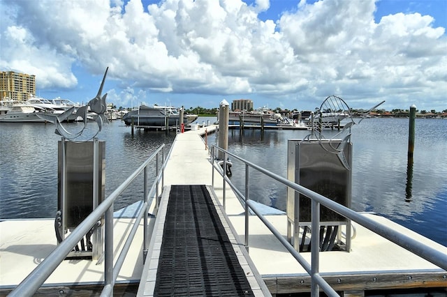 dock area with a water view