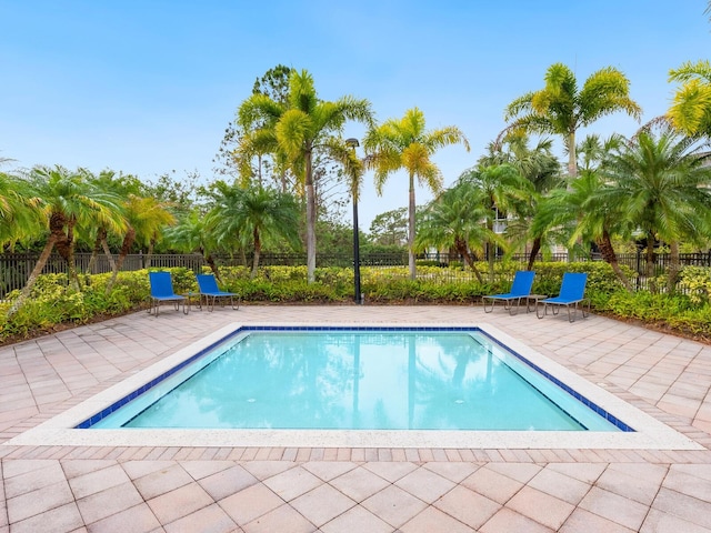 view of pool with a patio area