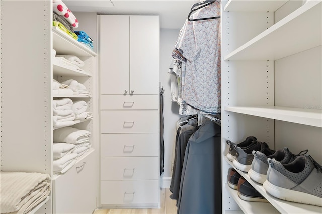 view of spacious closet