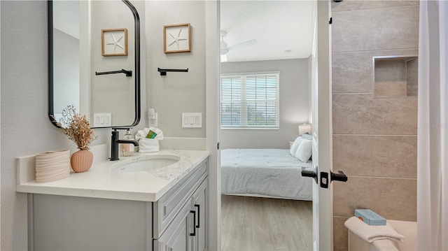 bathroom featuring vanity and wood-type flooring