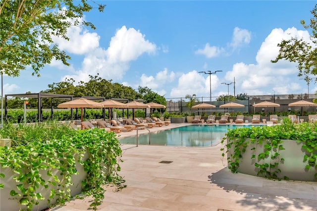 view of pool featuring a patio area