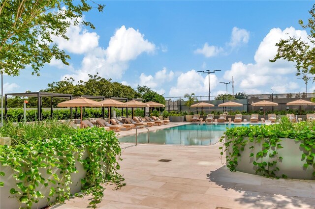 2912 W Santiago St Unit 2004, Tampa, FL 33629 - community pool featuring a patio and outdoor lounge area