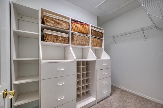 walk in closet with carpet