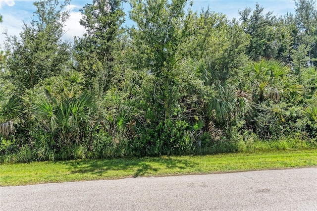 14291 Maidstone Ave, Port Charlotte, FL 33981 - photo 9