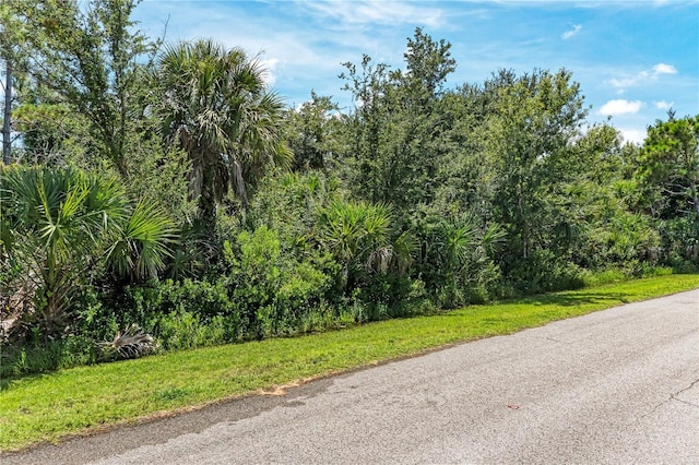 14291 Maidstone Ave, Port Charlotte, FL 33981 - photo 12