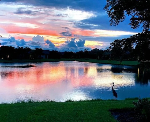 property view of water