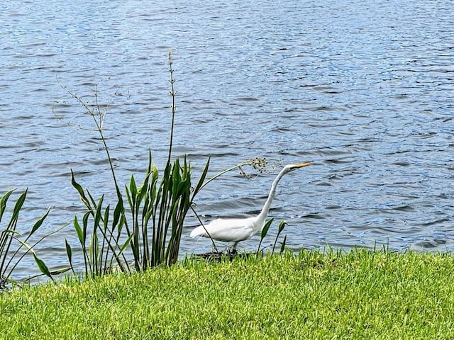 view of water feature