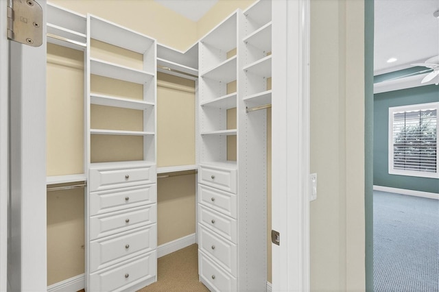 walk in closet featuring light carpet and ceiling fan