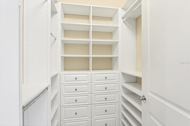 view of walk in closet