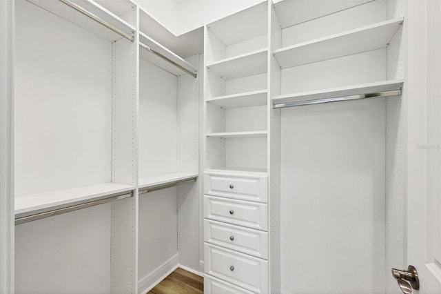 walk in closet featuring wood-type flooring