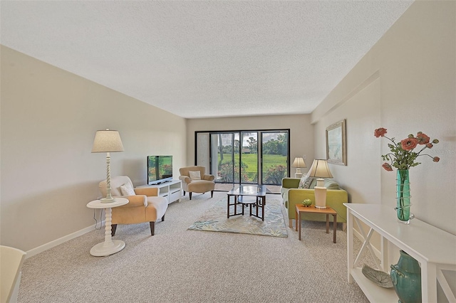 living room featuring a textured ceiling and light colored carpet