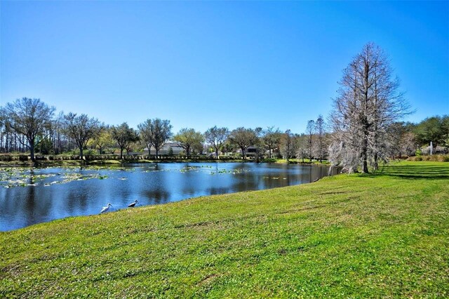 property view of water