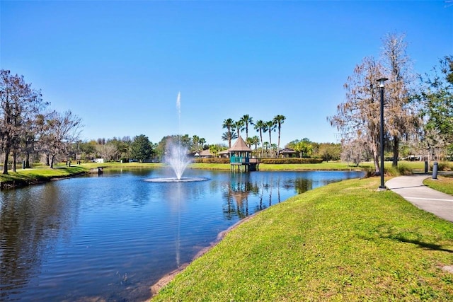 view of water feature